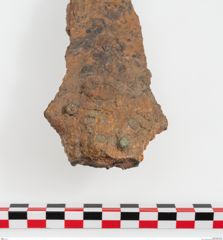 Foto von Eisenschwert (NHMW-PRAE-024453)